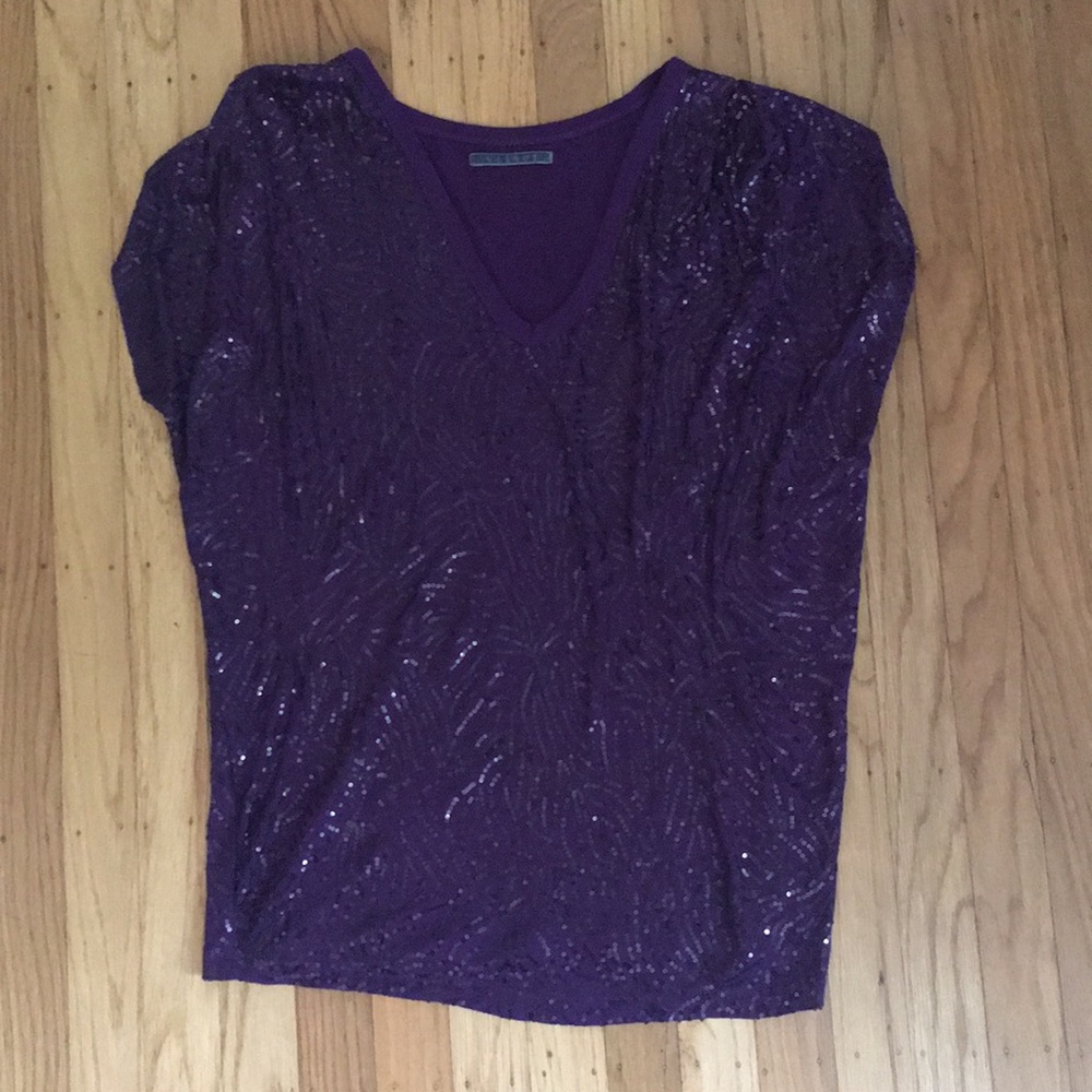Worn once - Velvet Sequin Blouse - Size Small